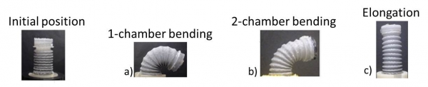 1module