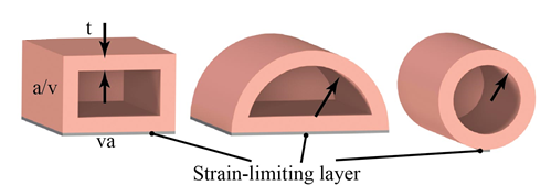 cross_sections