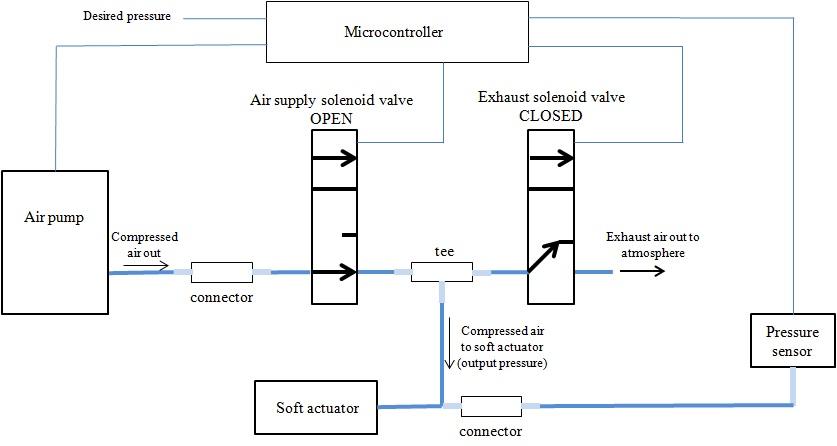 fig2