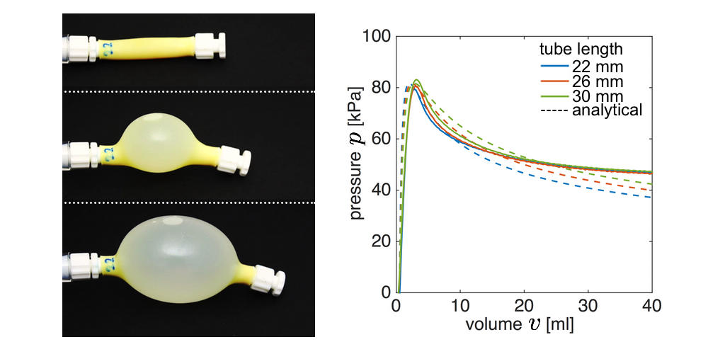 fig3-Overvelde