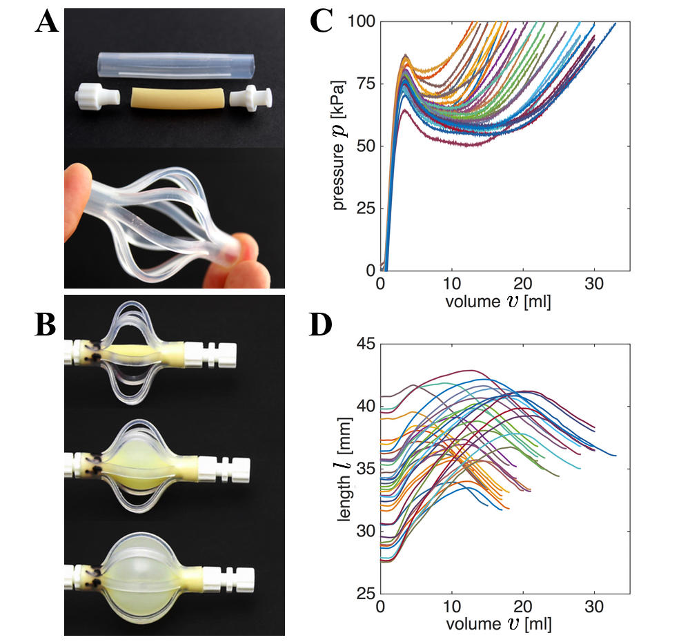 fig4-Overvelde