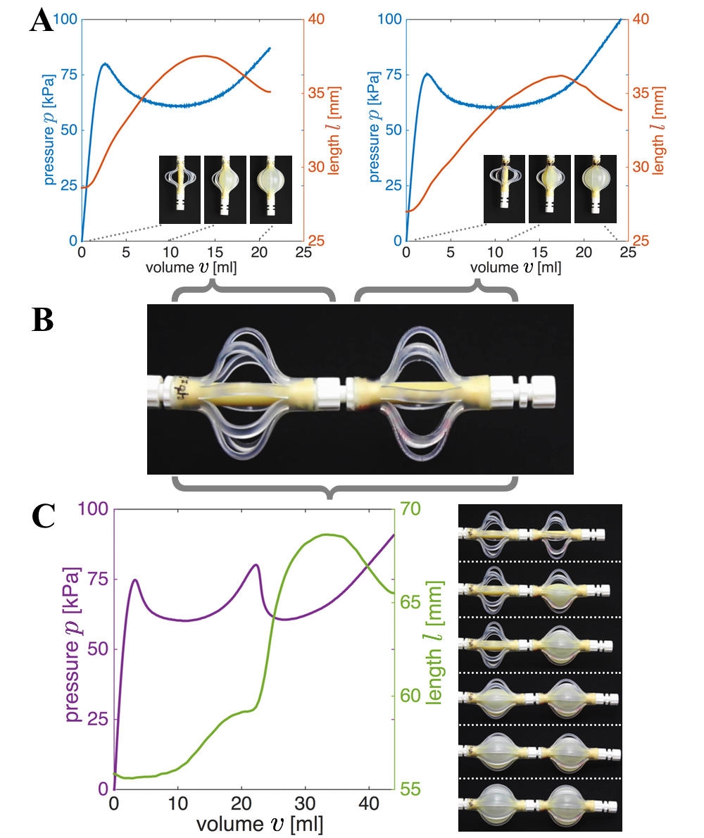 fig6-Overvelde