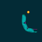 finger_6