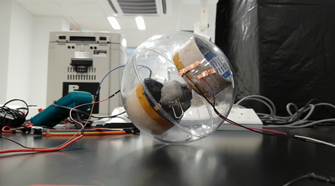  Image of disturbed prototype