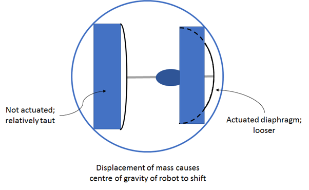 Schematic of disturbed soft robot