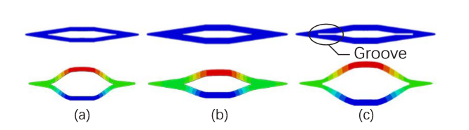 variation_morphology-1