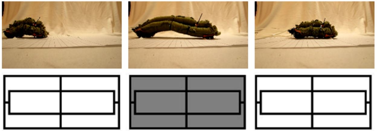 crawlingmotion.jpg