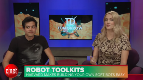 cnet_video_segment.png
