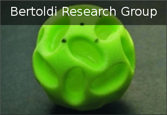 contributor_bertoldi_research