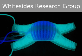 contributor_whitesides_research_group