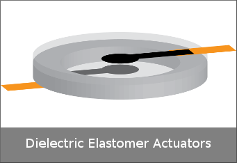 dielectric_elastomer_actuators.png