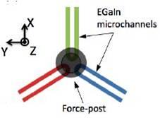 egain-varmorph4.jpg