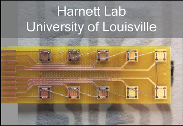 harnett_louisville-01