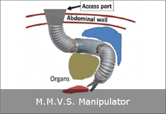 mmvsm.png