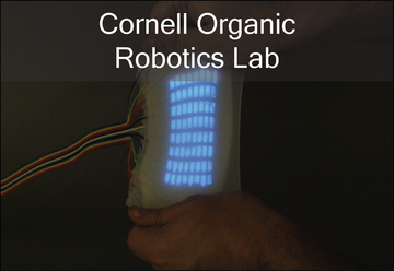 organic_robotics_cornell-01