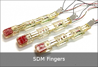 sdm_fingers.png