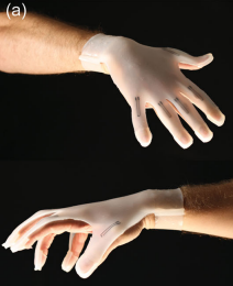 sensor_on_hand.png