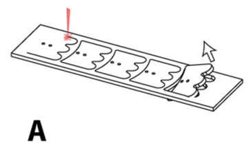 step1-1.png