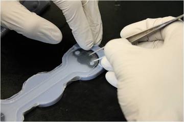 step4-14.jpg