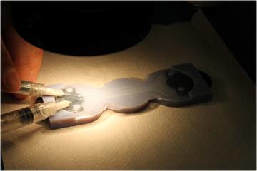 step5-4.jpg