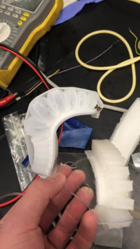 Finger after inflation