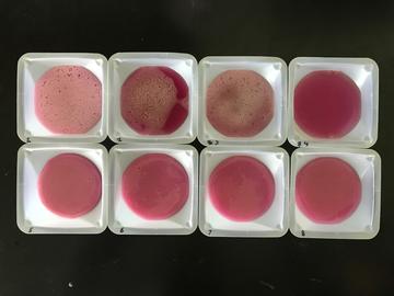 Testing Samples