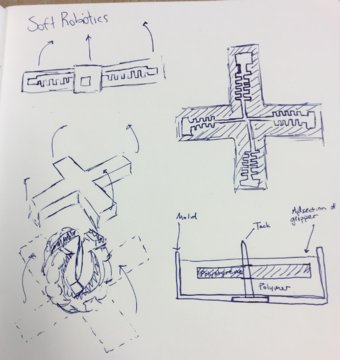 Conceptualization