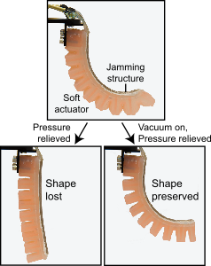 Shape preservation