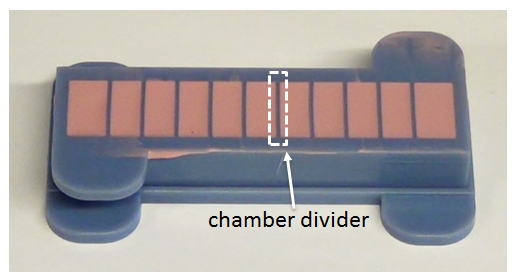 image50.5