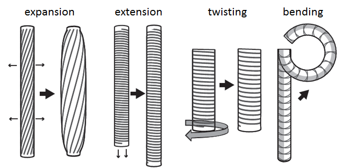 actuator_motions.png