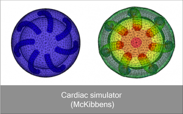 cardiac_icon-01