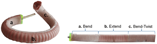 combinedmotion_photos.png