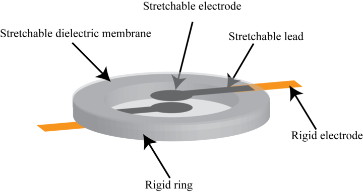 design1.png
