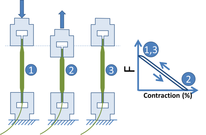 image12.png