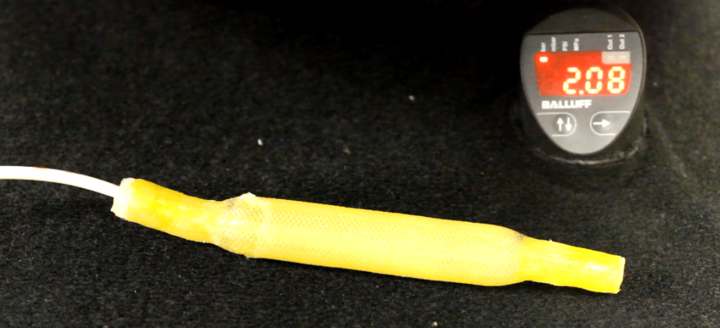 image15_crop.png