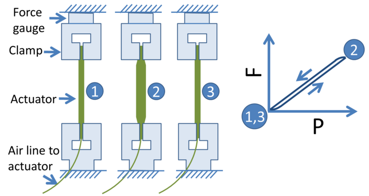 image7.png