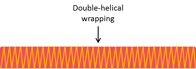 motion_extension.png