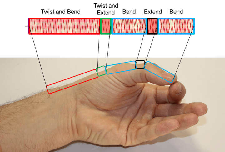 motiontypes.png