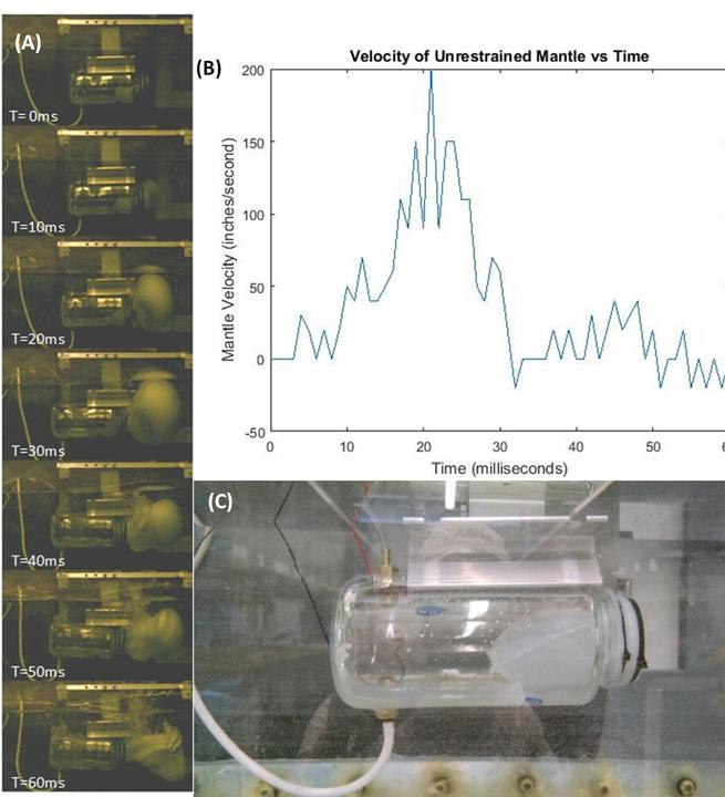 (A) High Speed Frames in 10ms Increments of Unrestrained Motion of Mantle (B) Velocity vs Time of Mantle (C) Mantle Initial Mounting Configuration