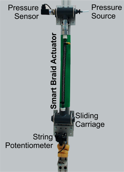 test_stand.png