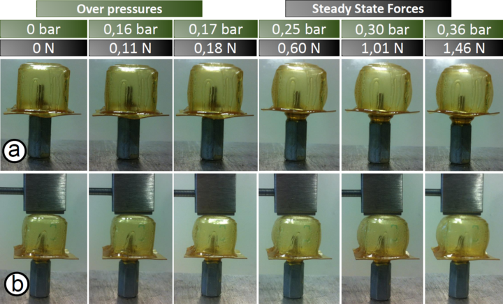 Experimental validation of the mechanical properties