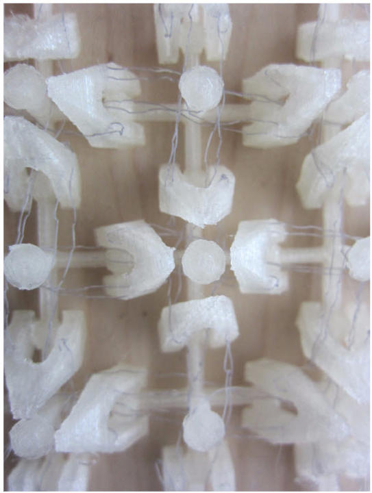 Fiber Layer