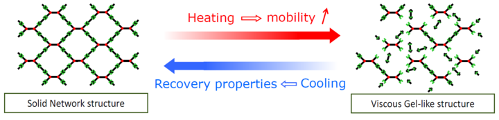 Thermo-reversible network