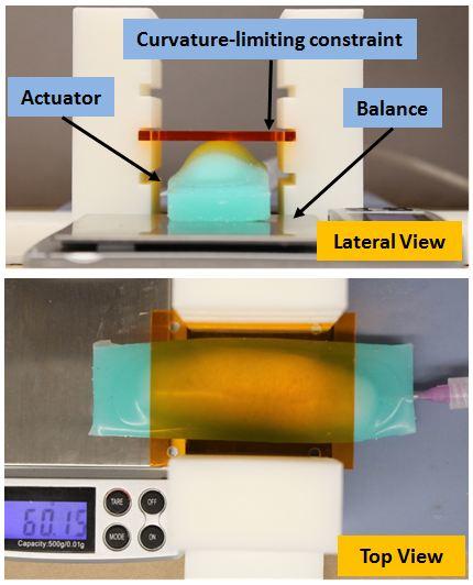Table Salt Foams blocking force setup