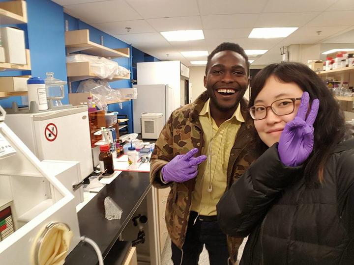 team members