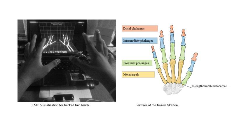 handskelton_02.jpg