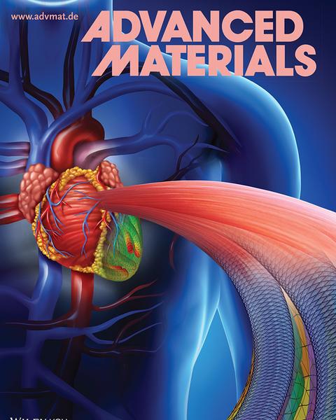 ellen_advmat_cover.jpg